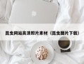 鞍山昆虫网站高清照片素材（昆虫图片下载）
